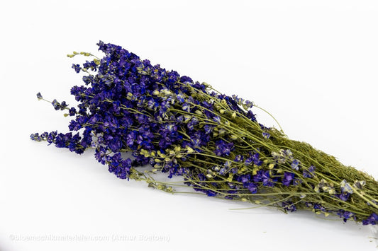 DELPHINIUM BLAUW NATUREL - bloemschikmaterialen.com