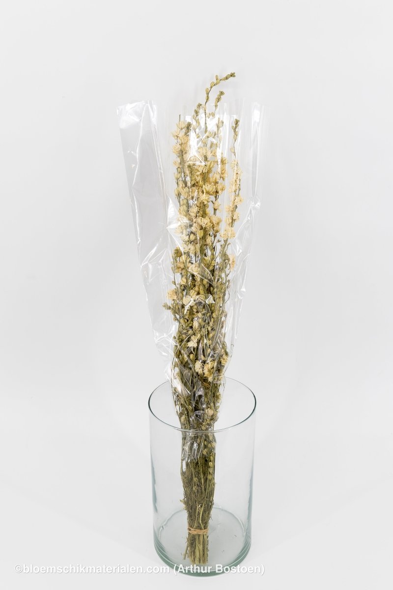 DELPHINIUM WIT NATUREL - bloemschikmaterialen.com