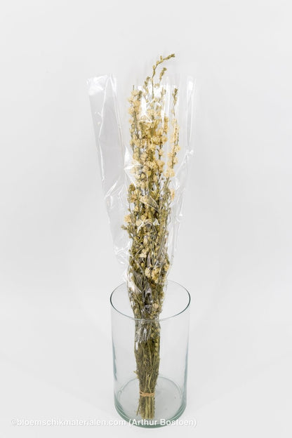 DELPHINIUM WIT NATUREL - bloemschikmaterialen.com
