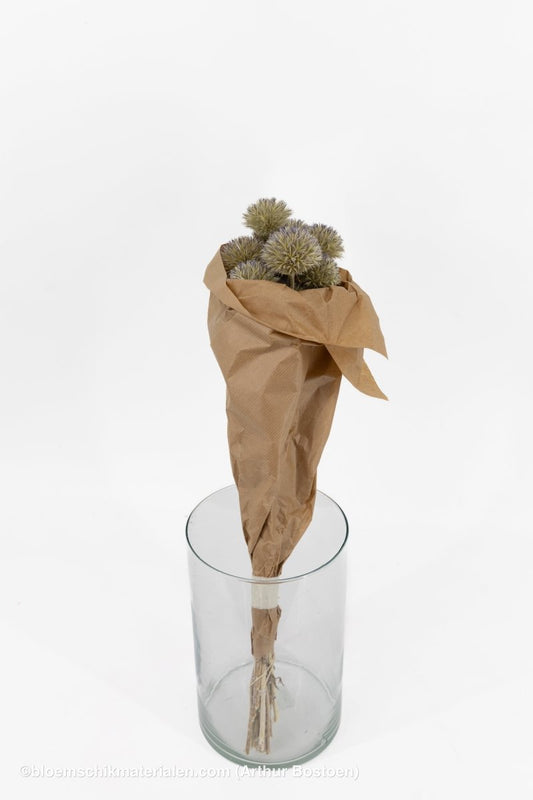 ECHINOPS WILD NATUREL 50CM - bloemschikmaterialen.com