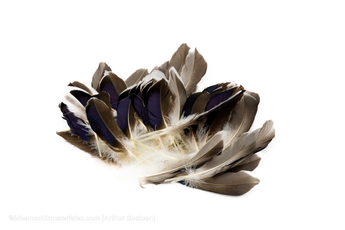 EENDEVEREN 10 - 15CM NATUREL 50ST - bloemschikmaterialen.com