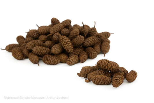 ELZEN NATUREL +/ - 1KG - bloemschikmaterialen.com