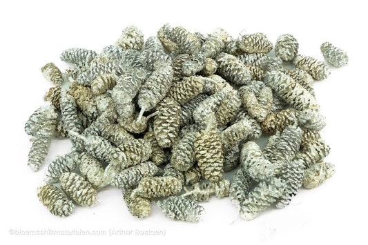 ELZEN PEARL SAGE +/ - 300GR - bloemschikmaterialen.com