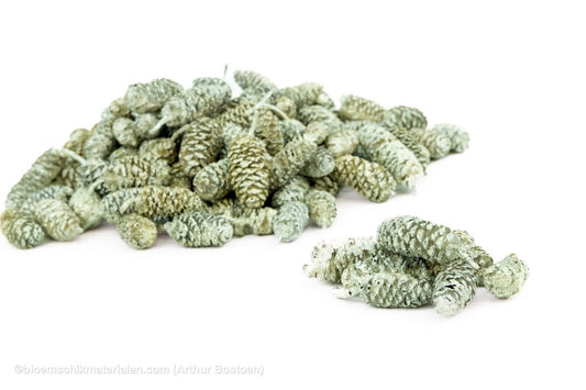 ELZEN PEARL SAGE +/ - 300GR - bloemschikmaterialen.com