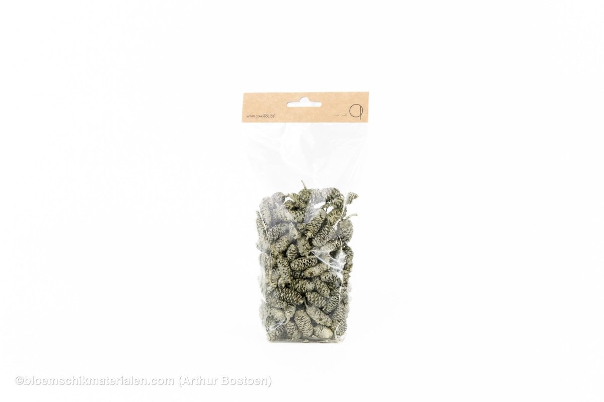 ELZEN PEARL SAGE +/ - 75GR - bloemschikmaterialen.com