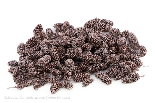 ELZEN ROSE GOLD +/ - 300GR - bloemschikmaterialen.com