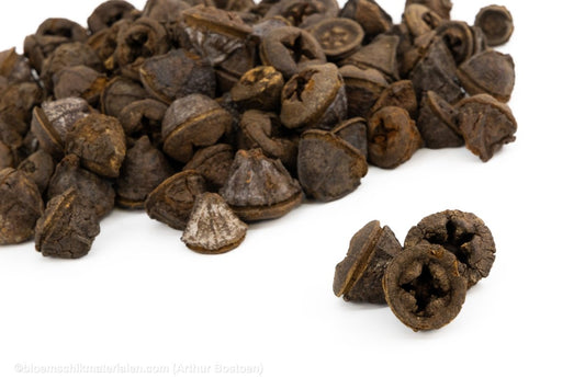 EUCALYPTUS FRUIT NATUREL +/ - 200GR - bloemschikmaterialen.com