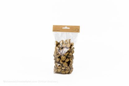 EUCALYPTUS FRUIT (PODS) GOUD +/ - 200GR - bloemschikmaterialen.com