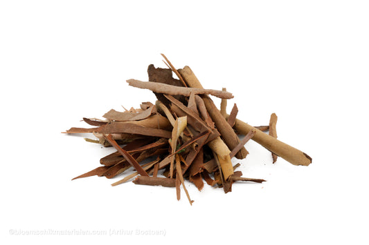 EUCALYPTUSSCHORS NATUREL +/- 200GR