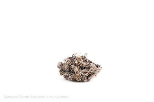 FIJNSPAR GERASPELD WHITE WASH +/ - 500GR - bloemschikmaterialen.com