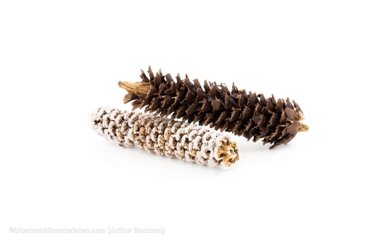 FIJNSPAR GERASPELD WHITE WASH +/ - 500GR - bloemschikmaterialen.com