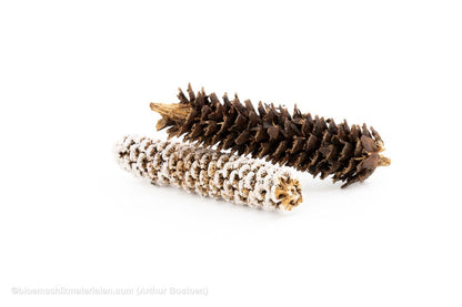 FIJNSPAR GERASPELD WHITE WASH +/ - 500GR - bloemschikmaterialen.com