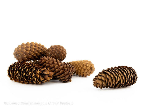 FIJNSPAR NATUREL +/ - 500 GR - bloemschikmaterialen.com