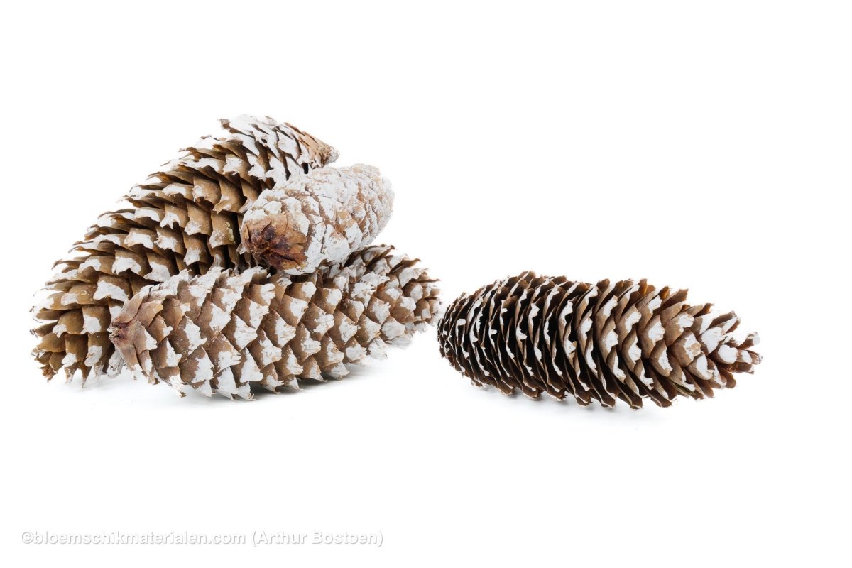 FIJNSPAR WHITE WASH +/ - 500GR - bloemschikmaterialen.com