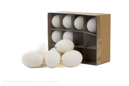 GANZENEIEREN 12ST - bloemschikmaterialen.com