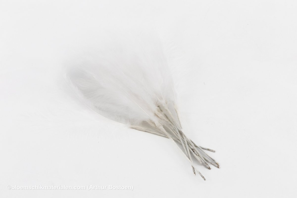 GANZENVEREN NATUREL WIT 13 - 20CM +/ - 10GR - bloemschikmaterialen.com