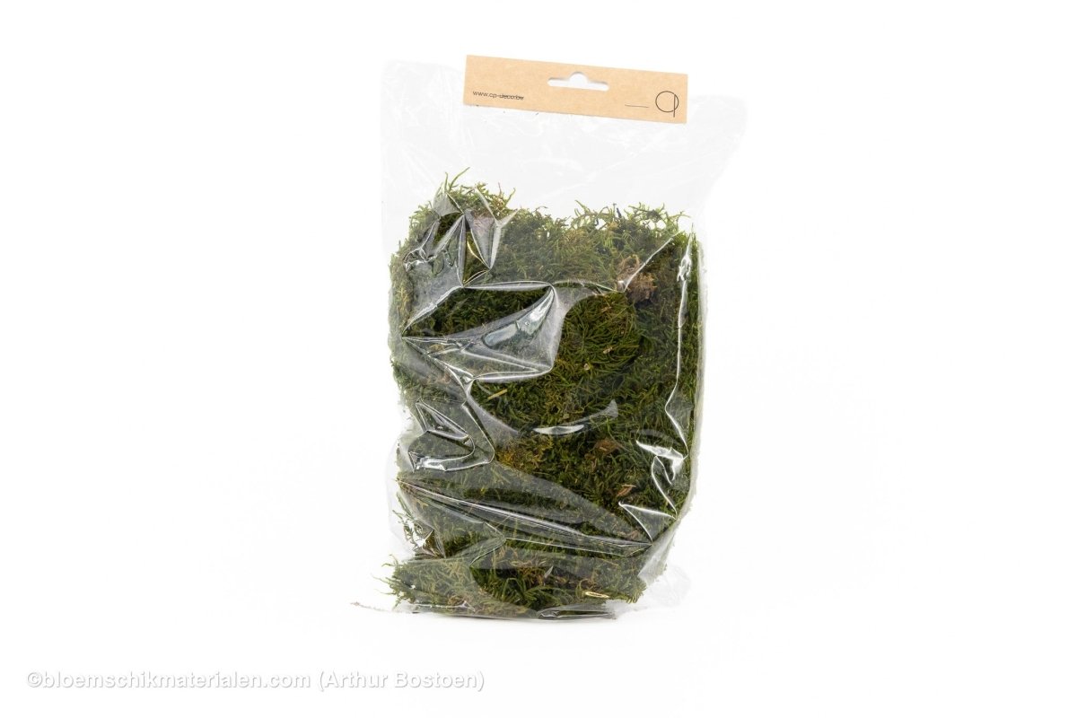 GECONSERVEERD MOS GROEN +/-75GR - 1STE KEUS - bloemschikmaterialen.com