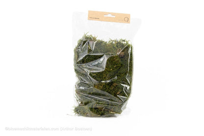 GECONSERVEERD MOS GROEN +/-75GR - 1STE KEUS - bloemschikmaterialen.com