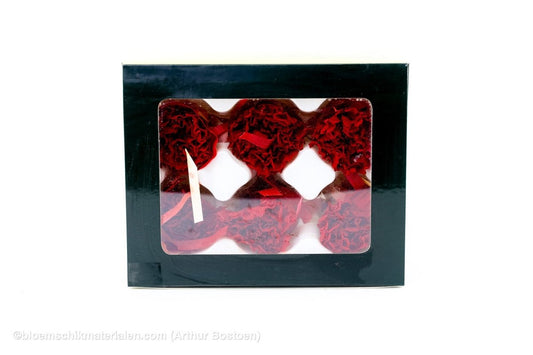 GECONSERVEERDE ANJER (GROOT) BORDEAUX 6ST - bloemschikmaterialen.com