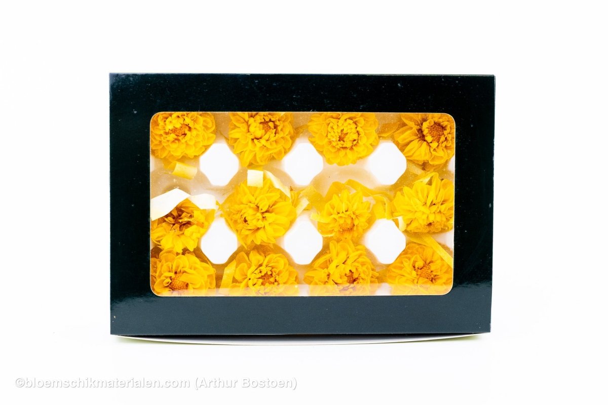 GECONSERVEERDE DAHLIA (SNOWFLAKE) GEEL 12ST - bloemschikmaterialen.com