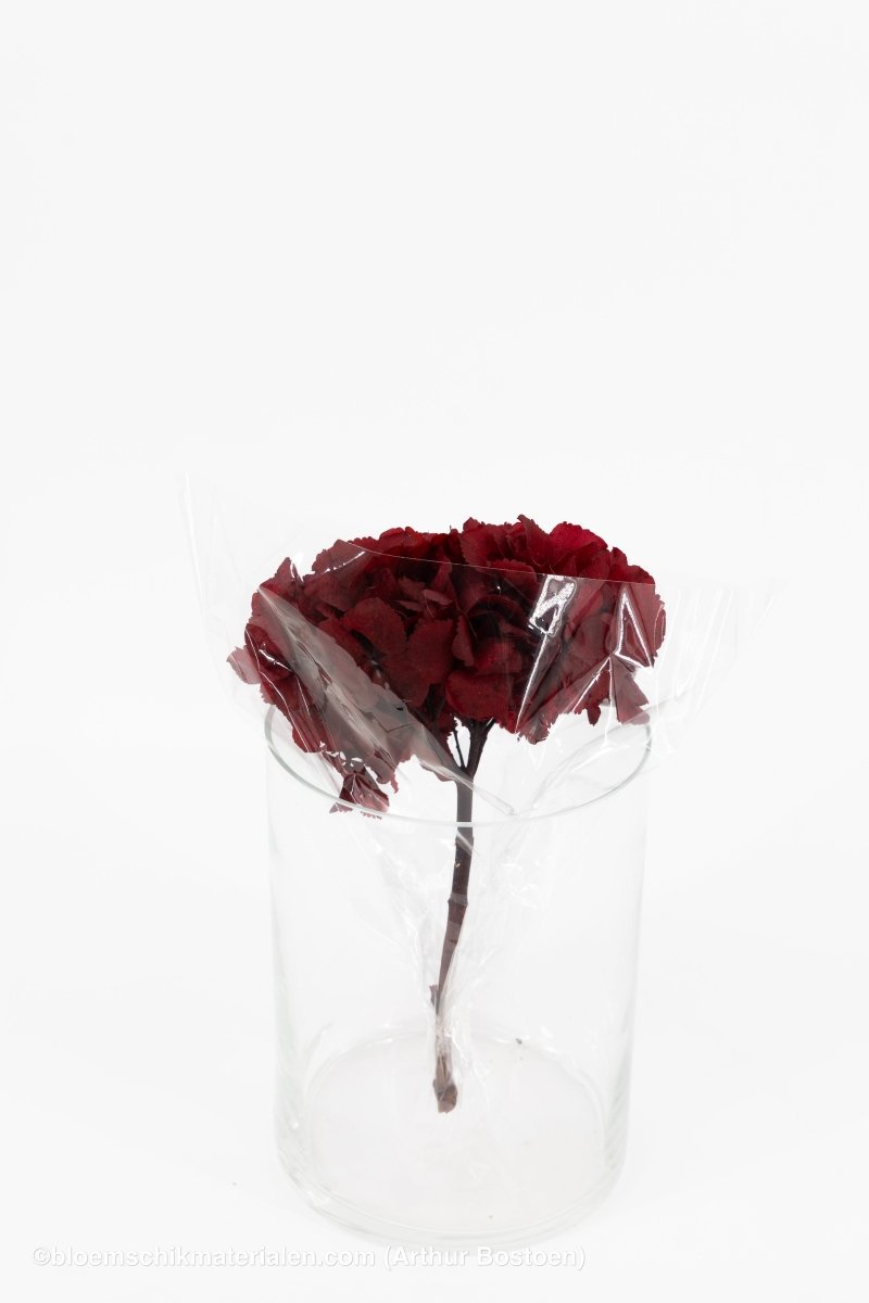 GECONSERVEERDE HORTENSIA (HYDRANGEA) +/ - 15CM BORDEAUX 1ST - bloemschikmaterialen.com