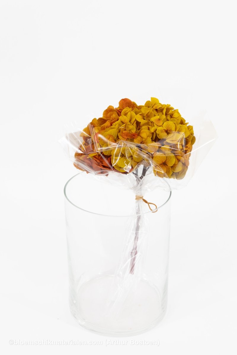 GECONSERVEERDE HORTENSIA (HYDRANGEA) GEEL/ROOD +/ - 15CM - bloemschikmaterialen.com