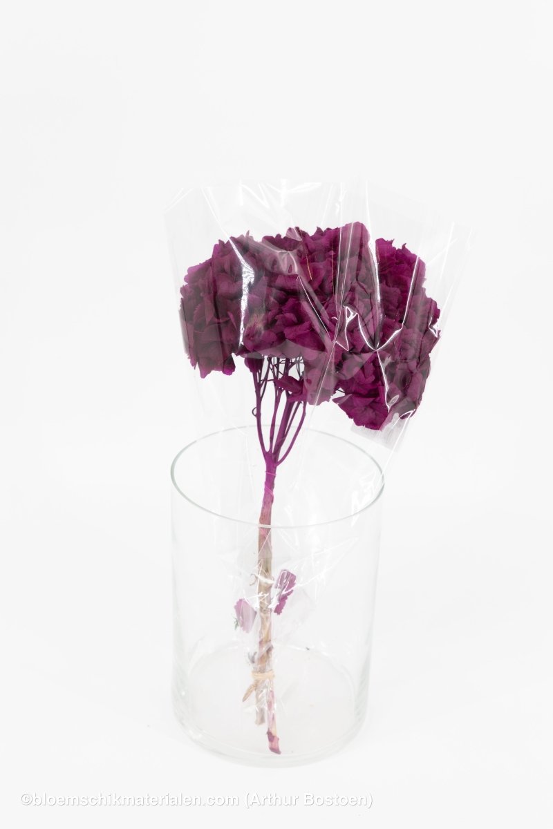 GECONSERVEERDE HORTENSIA (HYDRANGEA) SWEET VIOLET +/ - 15CM - bloemschikmaterialen.com