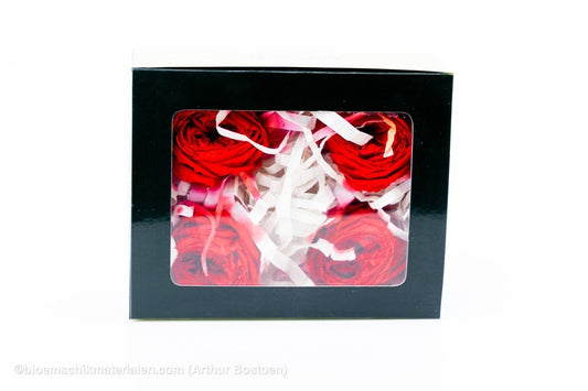 GECONSERVEERDE ROOS (ENGLISH ROSE KATE) +/ - 5CM ROOD 4ST - bloemschikmaterialen.com