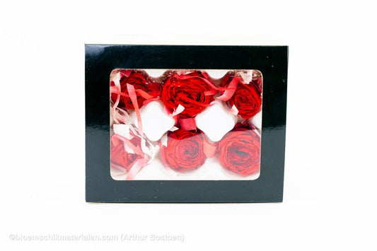 GECONSERVEERDE ROOS (ENGLISH ROSE PIPA) +/ - 4CM ROOD 6ST - bloemschikmaterialen.com