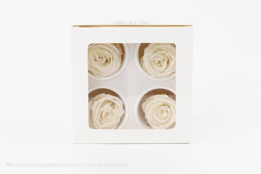 GECONSERVEERDE ROOS (LARGE OPEN) +/ - 6.5CM WIT 4ST - bloemschikmaterialen.com