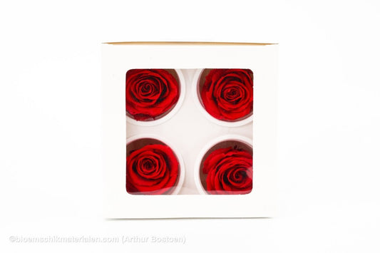 GECONSERVEERDE ROOS (LARGE OPEN) +/ - 8.5CM ROOD 4ST - bloemschikmaterialen.com