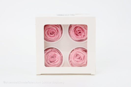 GECONSERVEERDE ROOS (LARGE OPEN) +/ - 8.5CM ROOS 4ST - bloemschikmaterialen.com