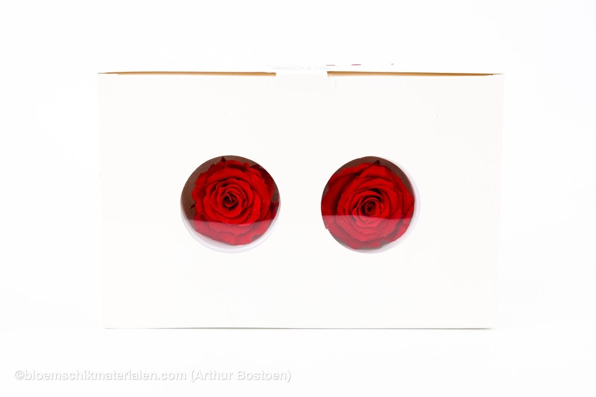 GECONSERVEERDE ROOS (MEDIUM OPEN) +/ - 4.5CM ROOD 8ST - bloemschikmaterialen.com