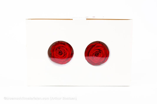 GECONSERVEERDE ROOS (MEDIUM OPEN) +/ - 4.5CM ROOD 8ST - bloemschikmaterialen.com