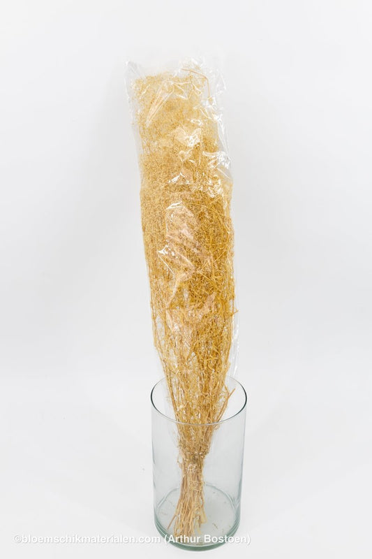 GYPSOPHILA MINI CREAM +/ - 100GR - bloemschikmaterialen.com