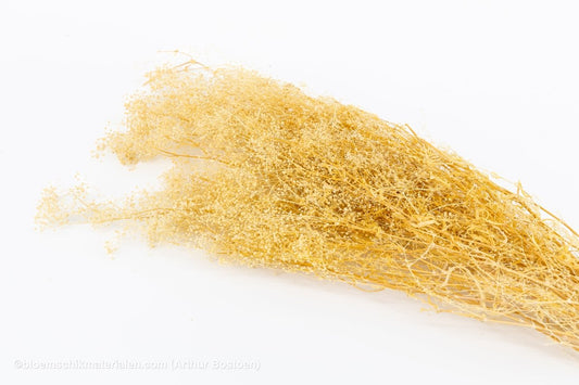 GYPSOPHILA MINI CREAM +/ - 100GR - bloemschikmaterialen.com