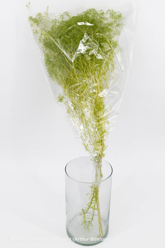 GYPSOPHILA MINI GEEL +/ - 100GR (kopie) - bloemschikmaterialen.com