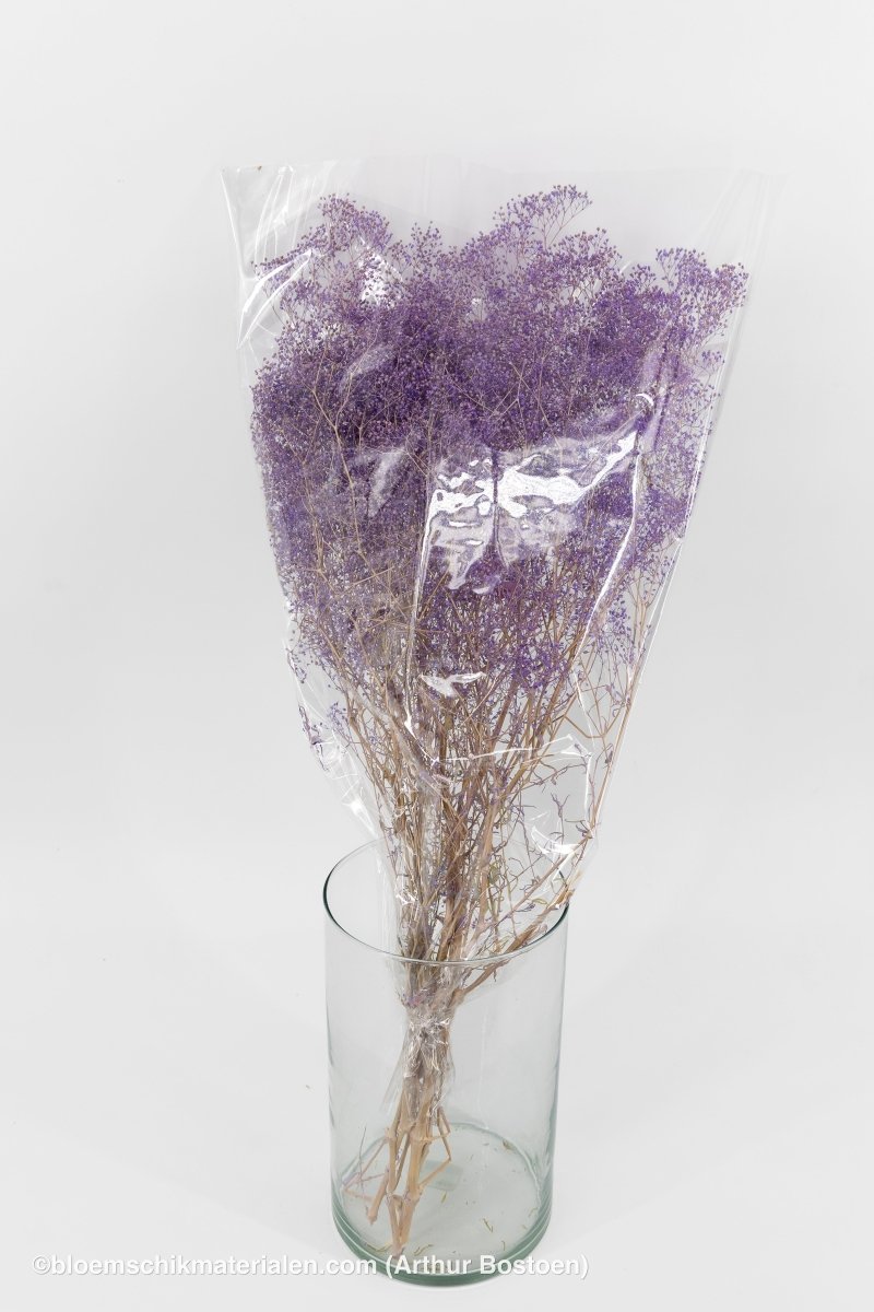 GYPSOPHILA MINI LILA +/ - 100GR - bloemschikmaterialen.com