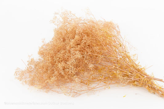 GYPSOPHILA MINI POEDERROZE +/ - 100GR - bloemschikmaterialen.com