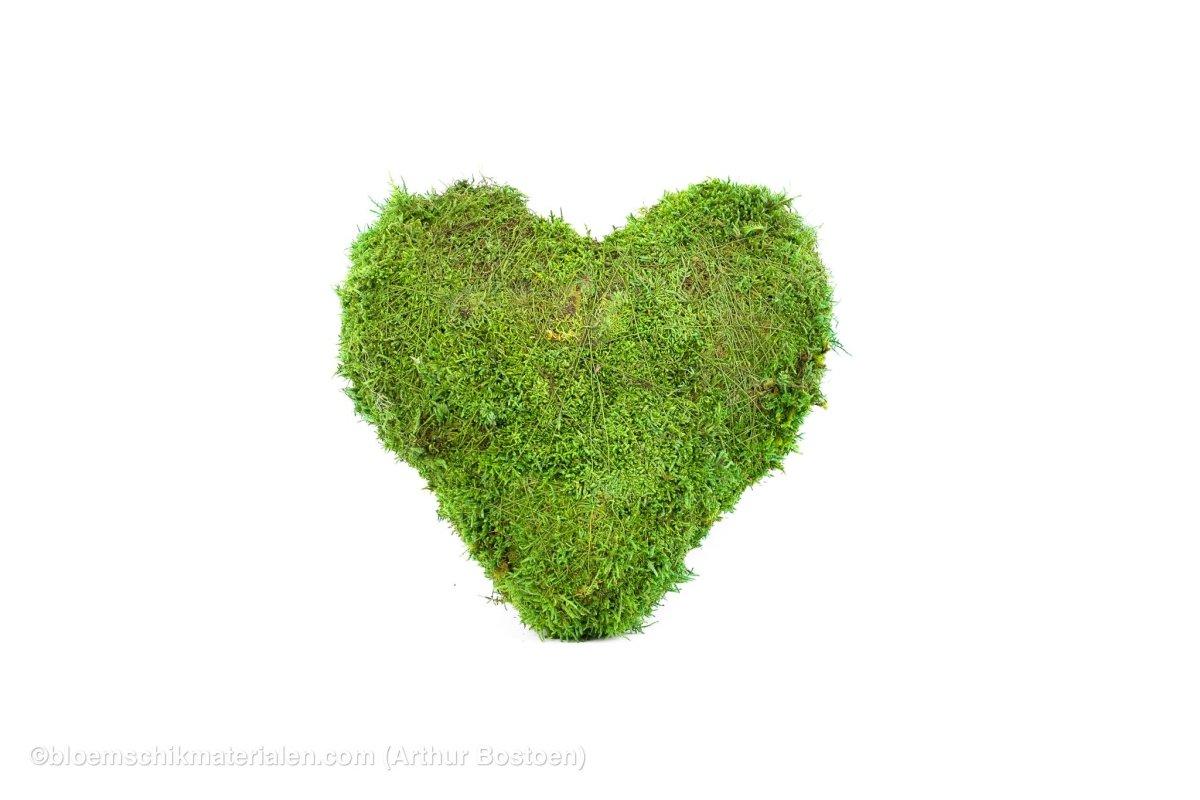 HART GROEN MOS 30 CM - bloemschikmaterialen.com