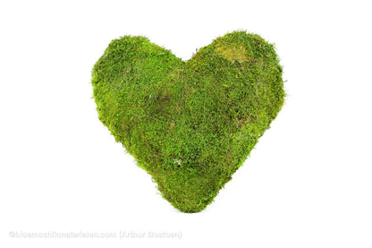 HART GROEN MOS 40 CM - bloemschikmaterialen.com