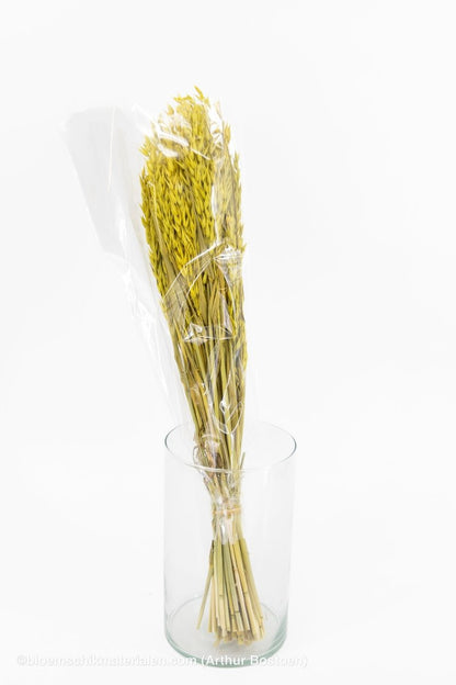 HAVER GEEL - bloemschikmaterialen.com