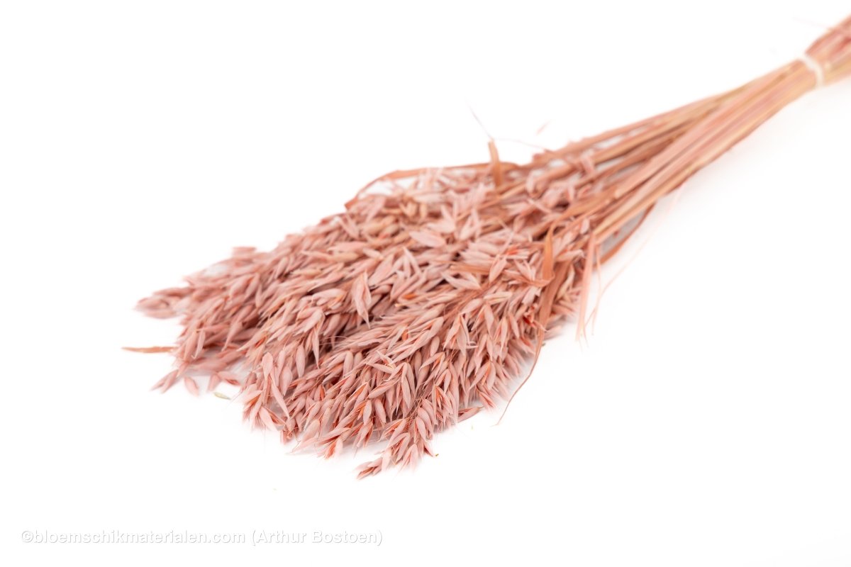 HAVER POEDERROOS +/ - 100GR - bloemschikmaterialen.com