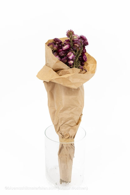 HELICHRYSUM DONKER ROZE - bloemschikmaterialen.com