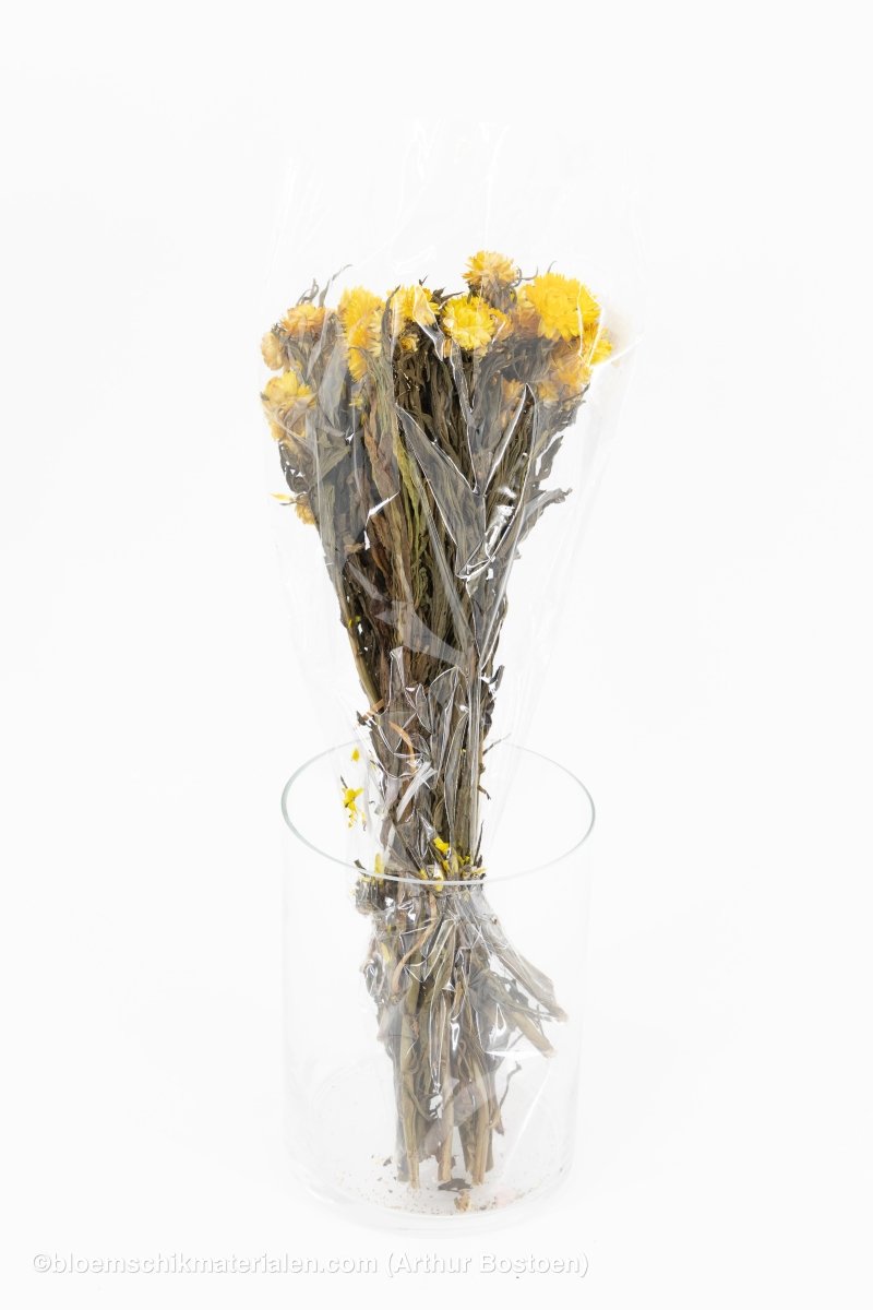 HELICHRYSUM GEEL - bloemschikmaterialen.com