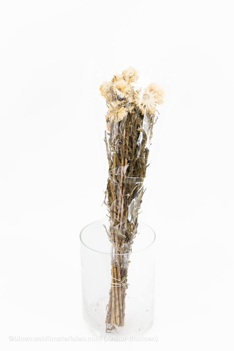 HELICHRYSUM WIT - bloemschikmaterialen.com