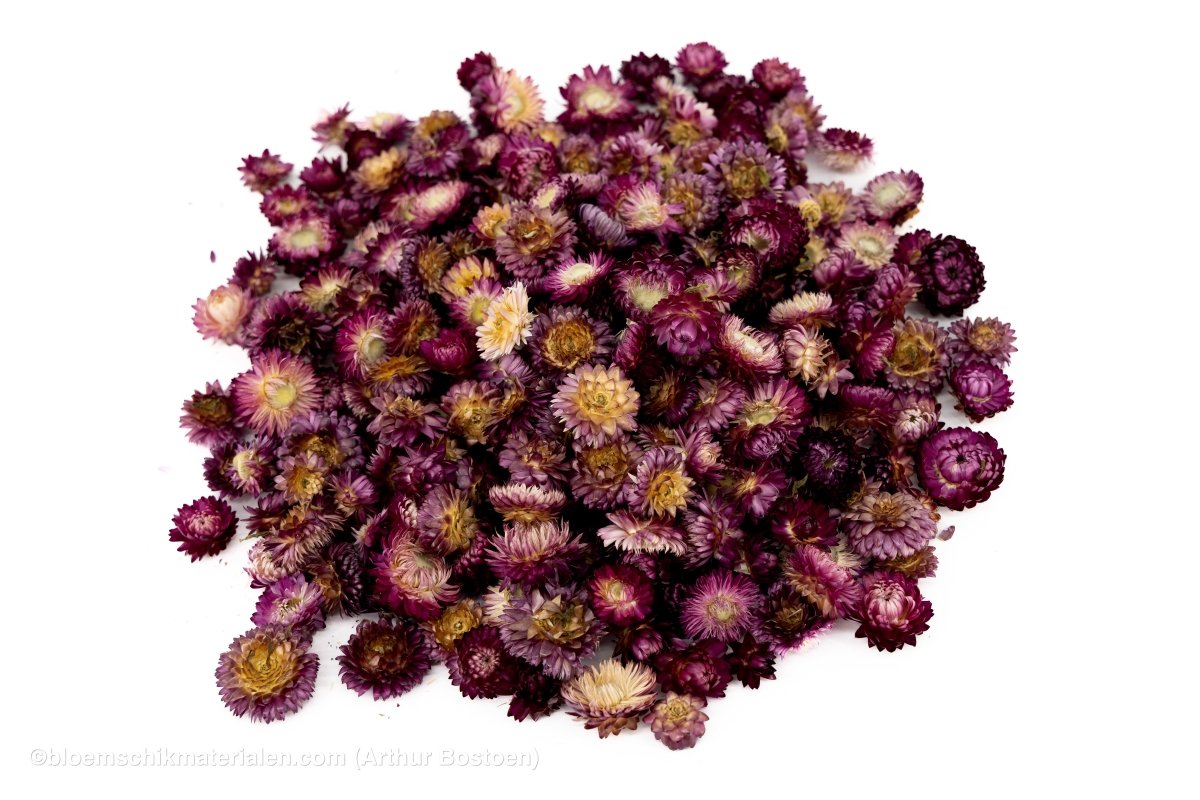 HELICHRYSUMKOPPEN DONKER ROZE +/ - 100GR - bloemschikmaterialen.com