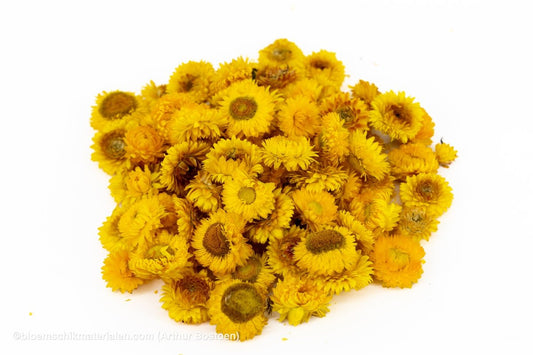 HELICHRYSUMKOPPEN GEEL +/ - 100GR - bloemschikmaterialen.com