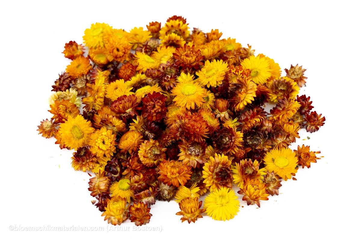 HELICHRYSUMKOPPEN ORANJE +/ - 100GR - bloemschikmaterialen.com
