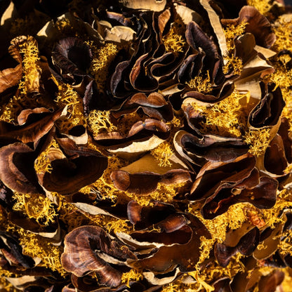 Herfstbol (±25cm ⌀) - bloemschikmaterialen.com